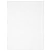 14 Count Perforated Plastic Canvas, 8.5 inch x 11 inch